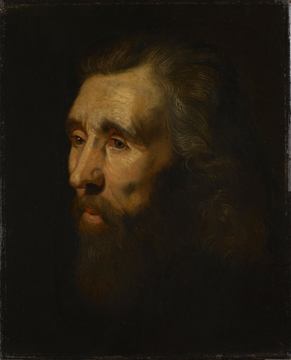 Head of a Bearded Man by Peter Paul Rubens