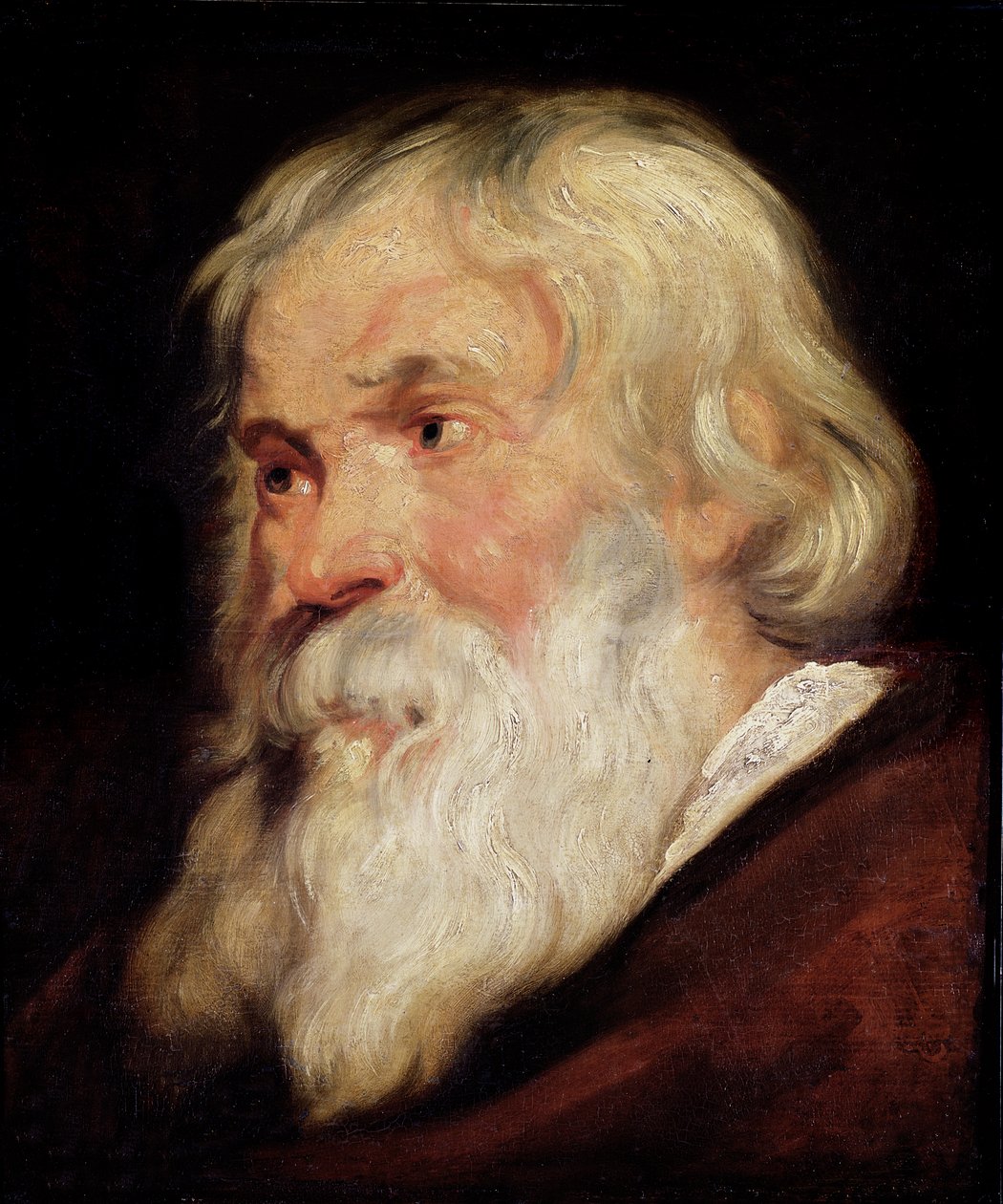 Head of an Old Man by Peter Paul Rubens