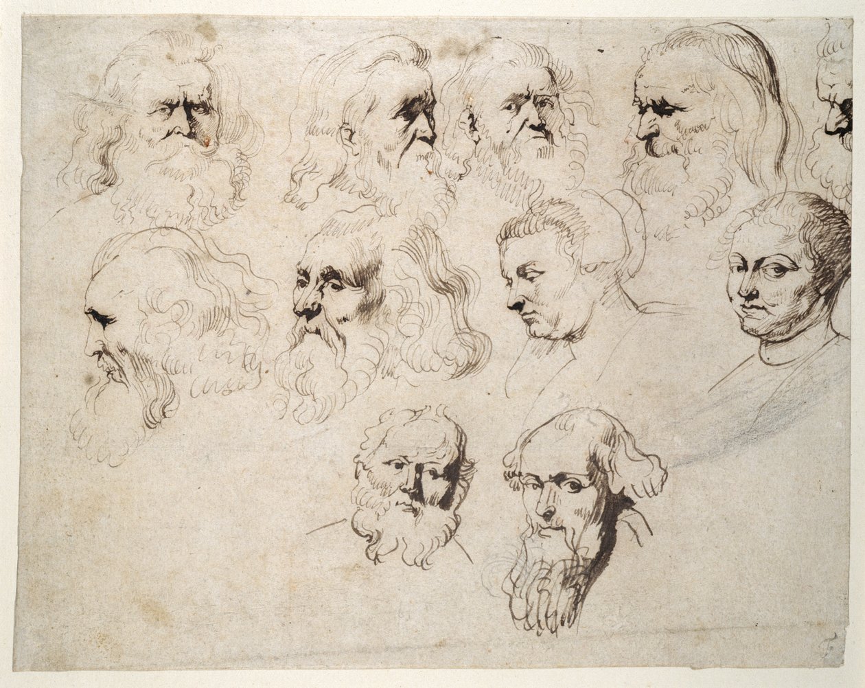 Seven studies of the head of an elderly bearded man, with two others of different men