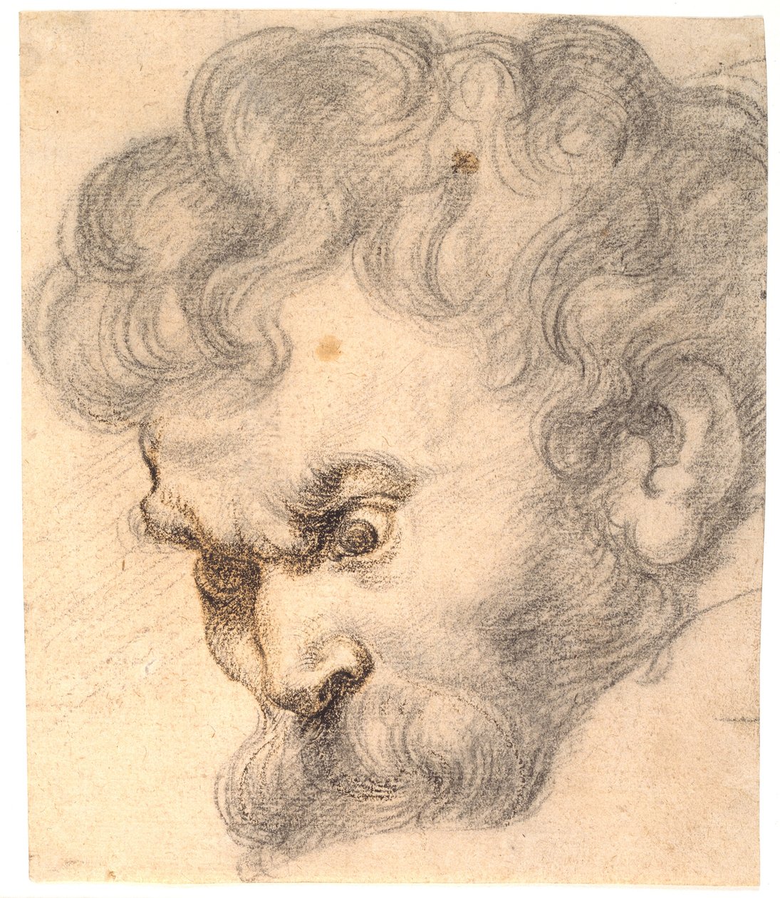 Study from "Samson and the Lion". Samson