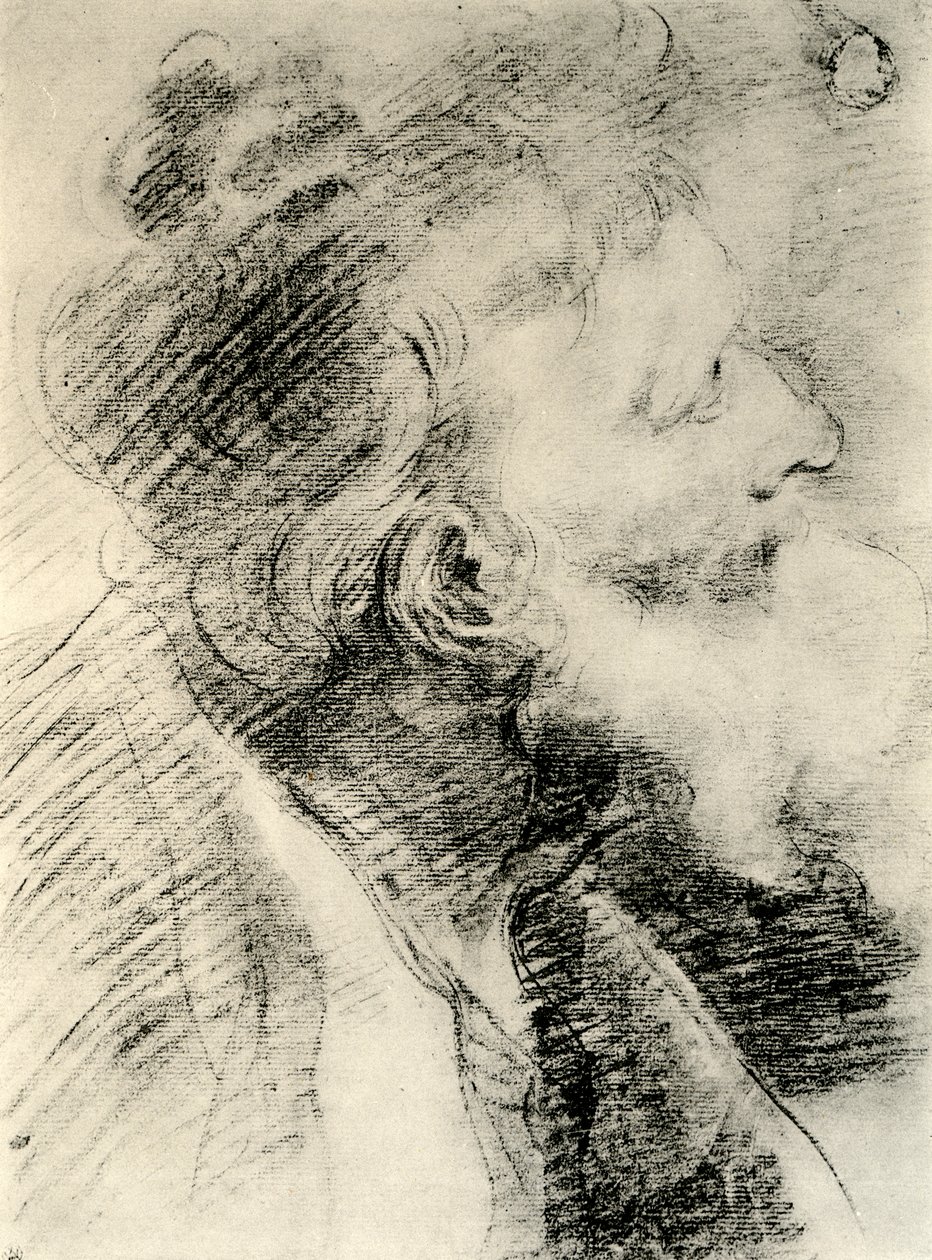 Study for the Head of an Old Man by Peter Paul Rubens