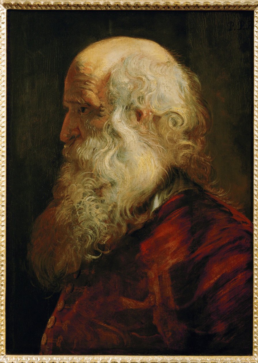 Study of an Old Man, c.1610 by Peter Paul Rubens