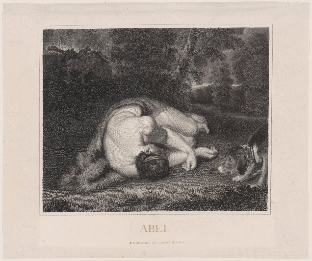 The Death of Abel by Peter Paul Rubens