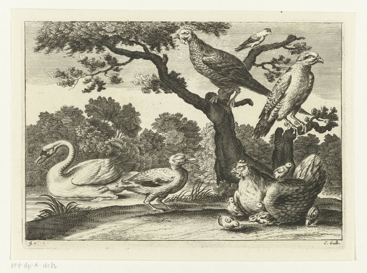 Swan, Hen with Chicks, and Other Birds by Peter van Liesebetten