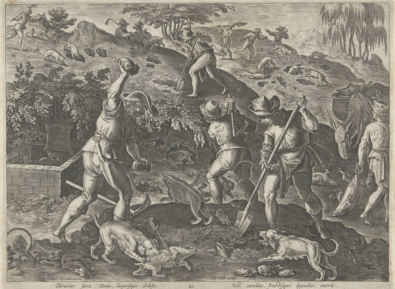 Badger Hunt Hunting Scenes (series title) In Quibus Omne Genus Venationis, Aucupii, Piscatusque (series title) by Philips Galle