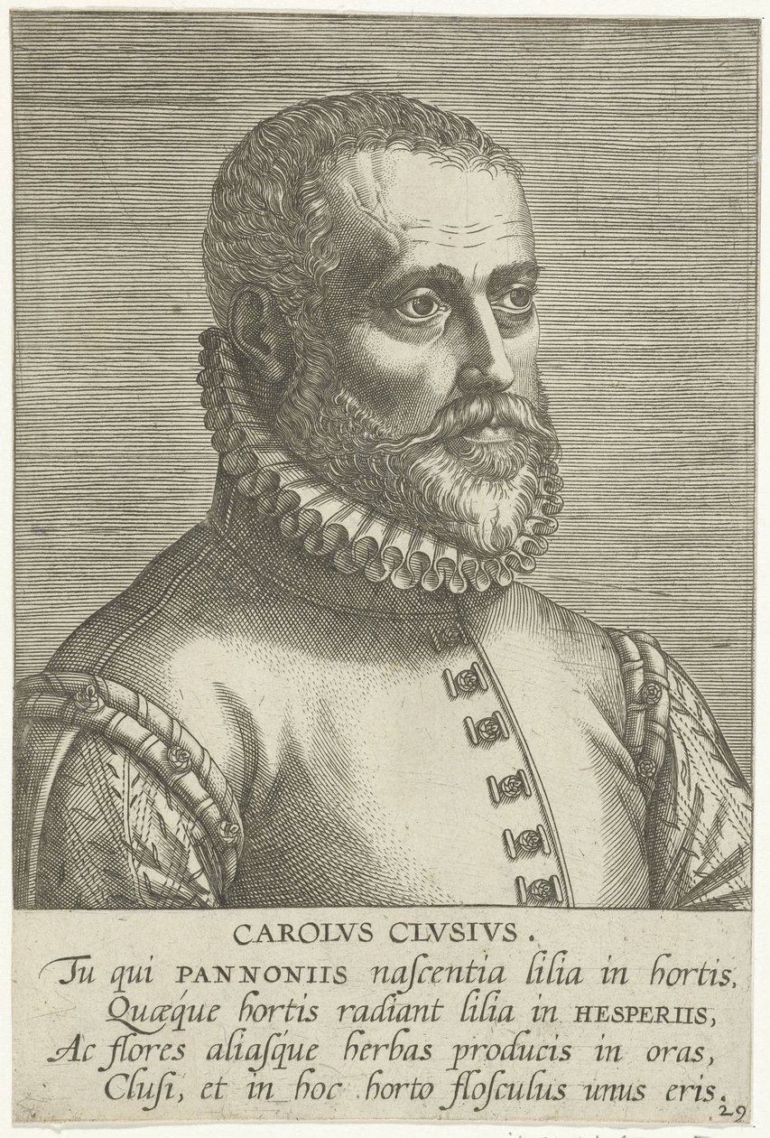 Portrait of Carolus Clusius by Philips Galle