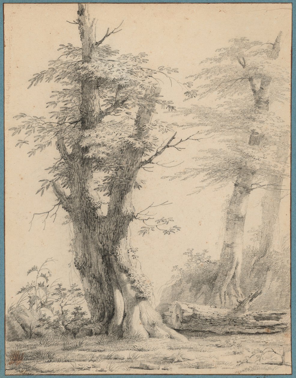 A Stand of Trees by Pierre-Henri de Valenciennes