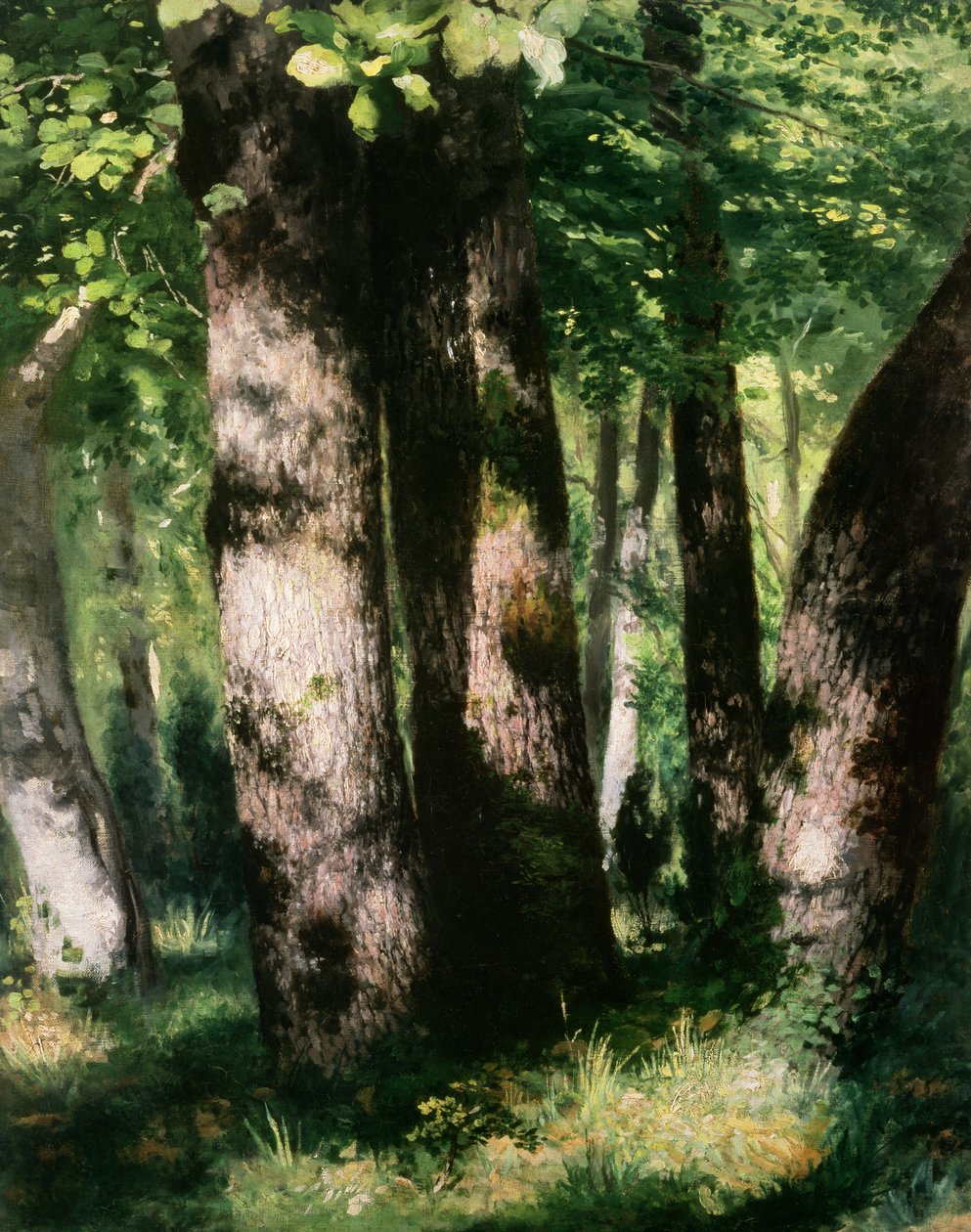 Unknown Image by Pierre-Auguste Renoir: Buy fine art print