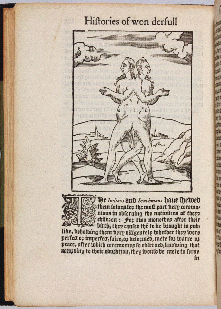 A Collection of Extraordinary Stories, 1560 by Pierre Boaistuau
