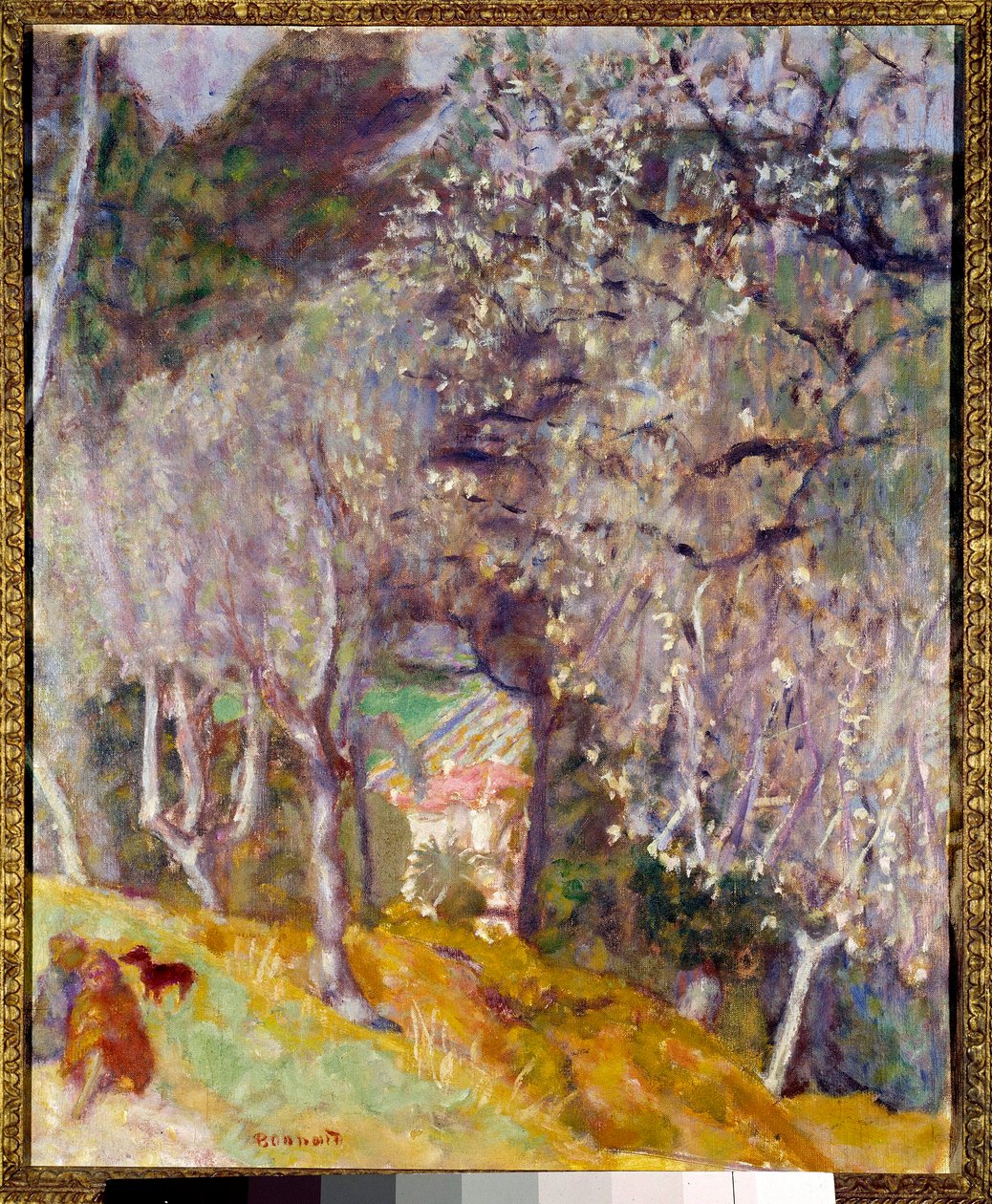 House in the Olives by Pierre Bonnard: Buy fine art print