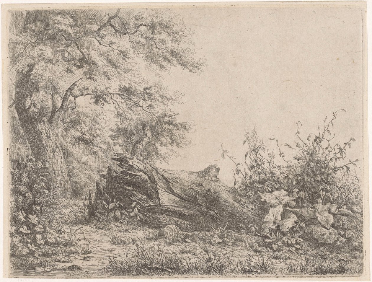 Fallen Tree at the Edge of the Forest by Pierre Louis Dubourcq