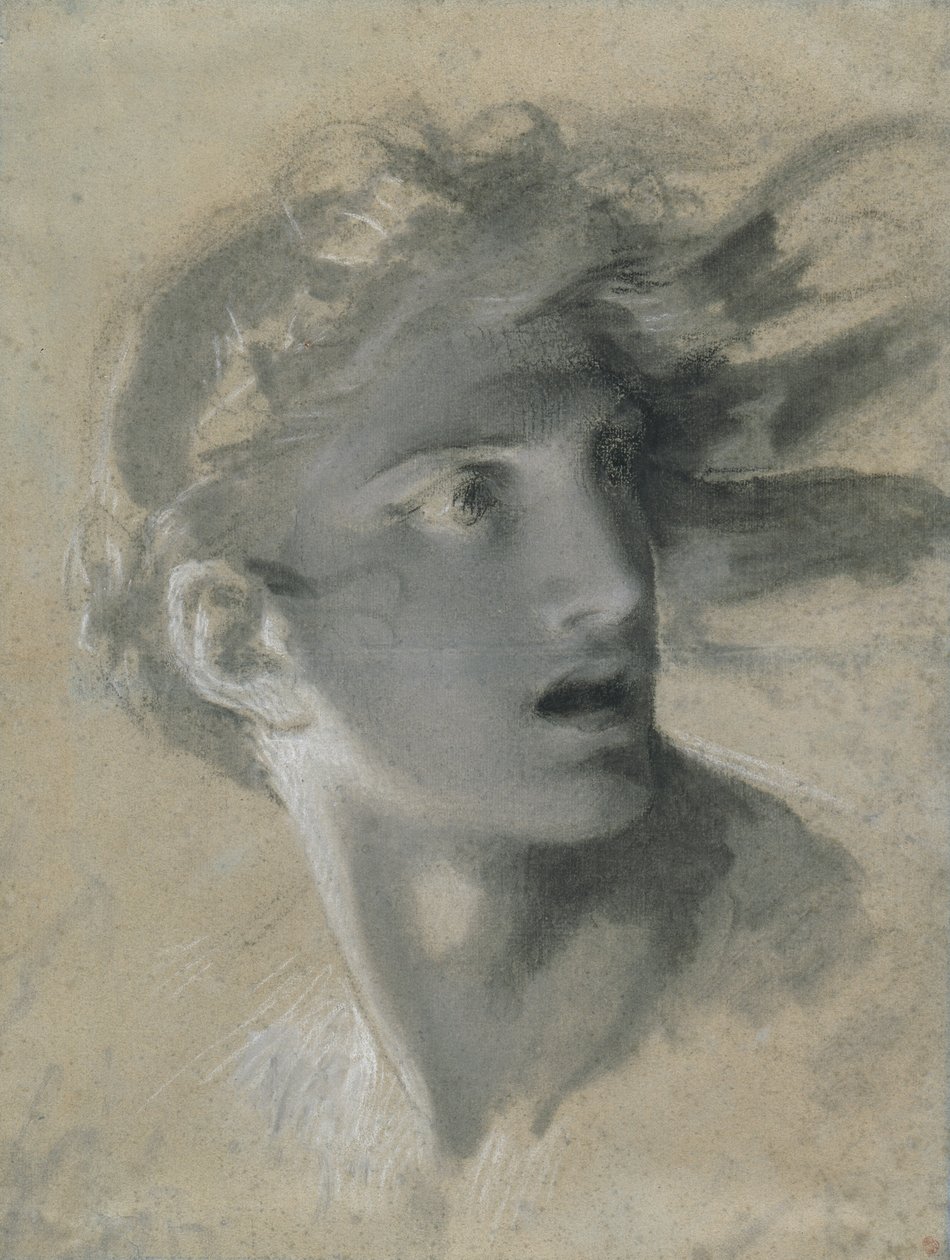 Head of Vengeance by Pierre Paul Prud
