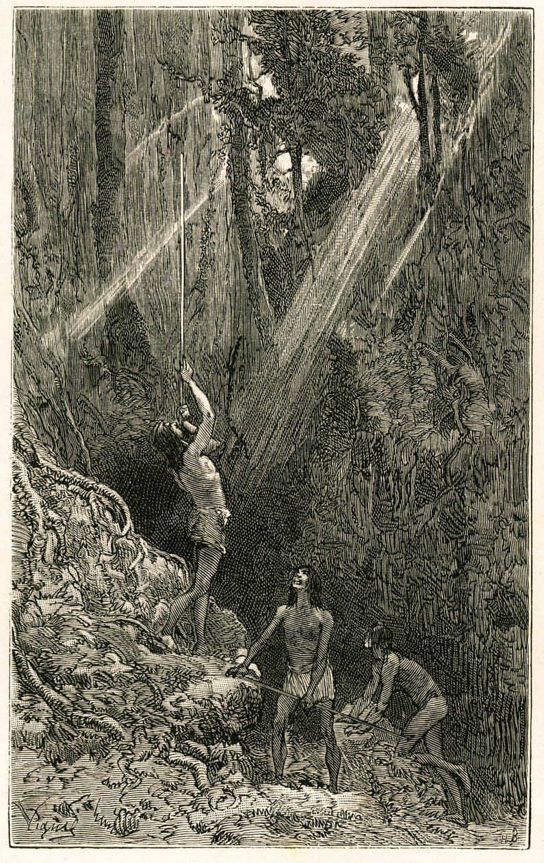 Suno Indians, from the banks of the Napo River (Amazon), hunting by blowpipe. Engraving by Vignal, to illustrate the story 