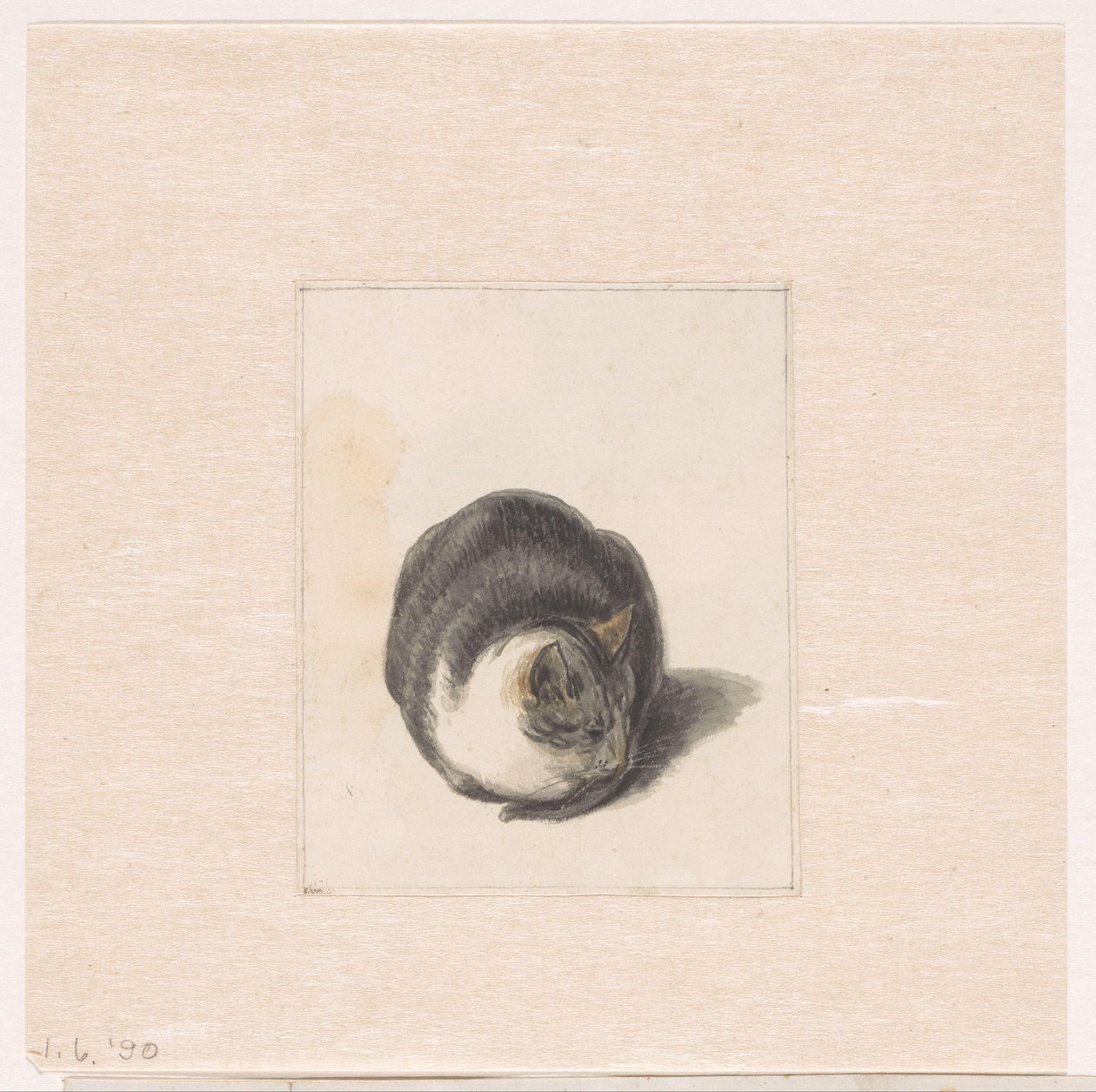 Seated Cat, Seen from the Front by Pieter Bartholomeusz. Barbiers