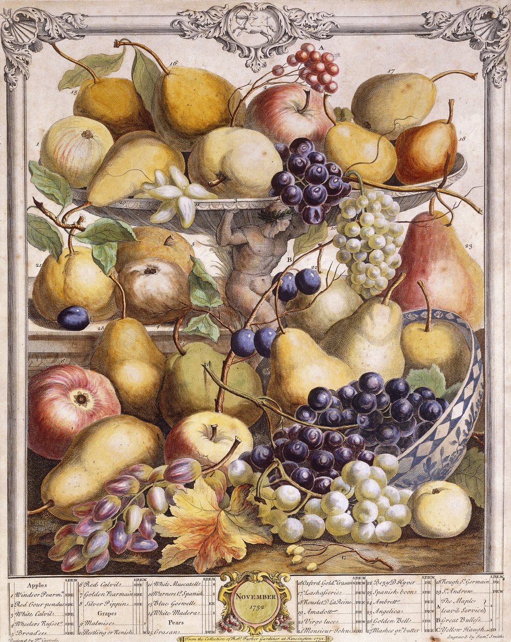 November 1732, Showing Seasonal Apples, Pears, Grapes etc. by Pieter Casteels