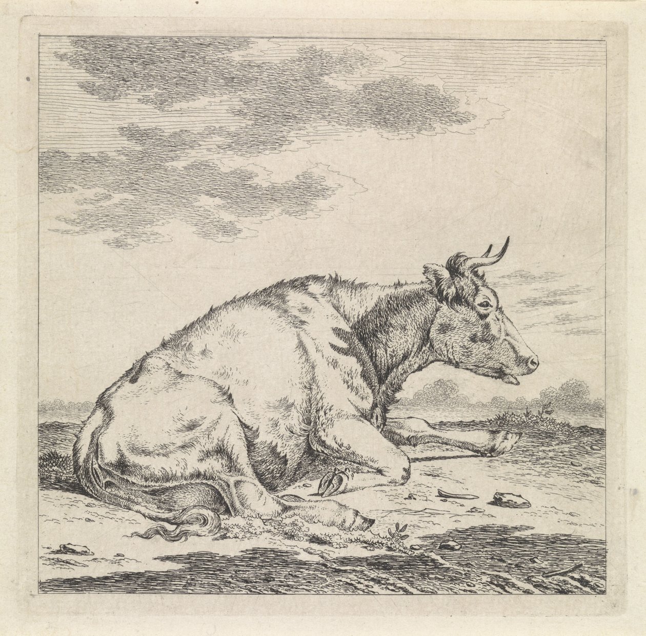 Lying Cow, Facing Right by Pieter Janson