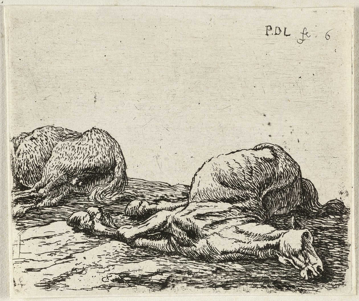 Two Dead Horses by Pieter van Laer