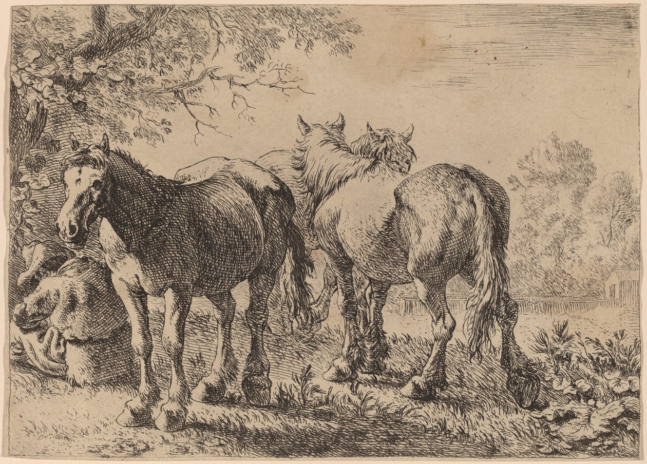 Three Horses in a Field by Pieter van Laer