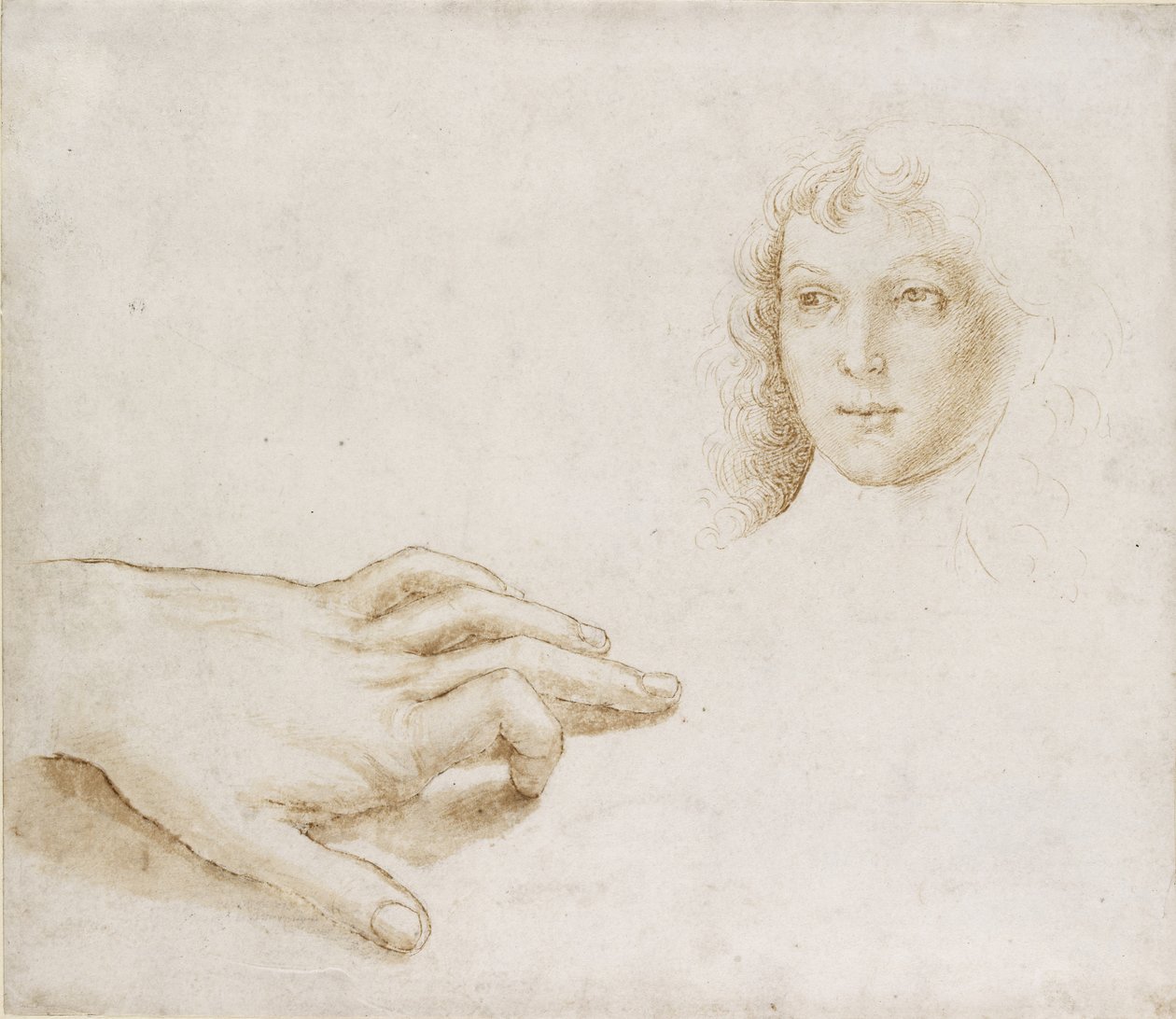 Studies of a Head and a Hand by Pietro Perugino