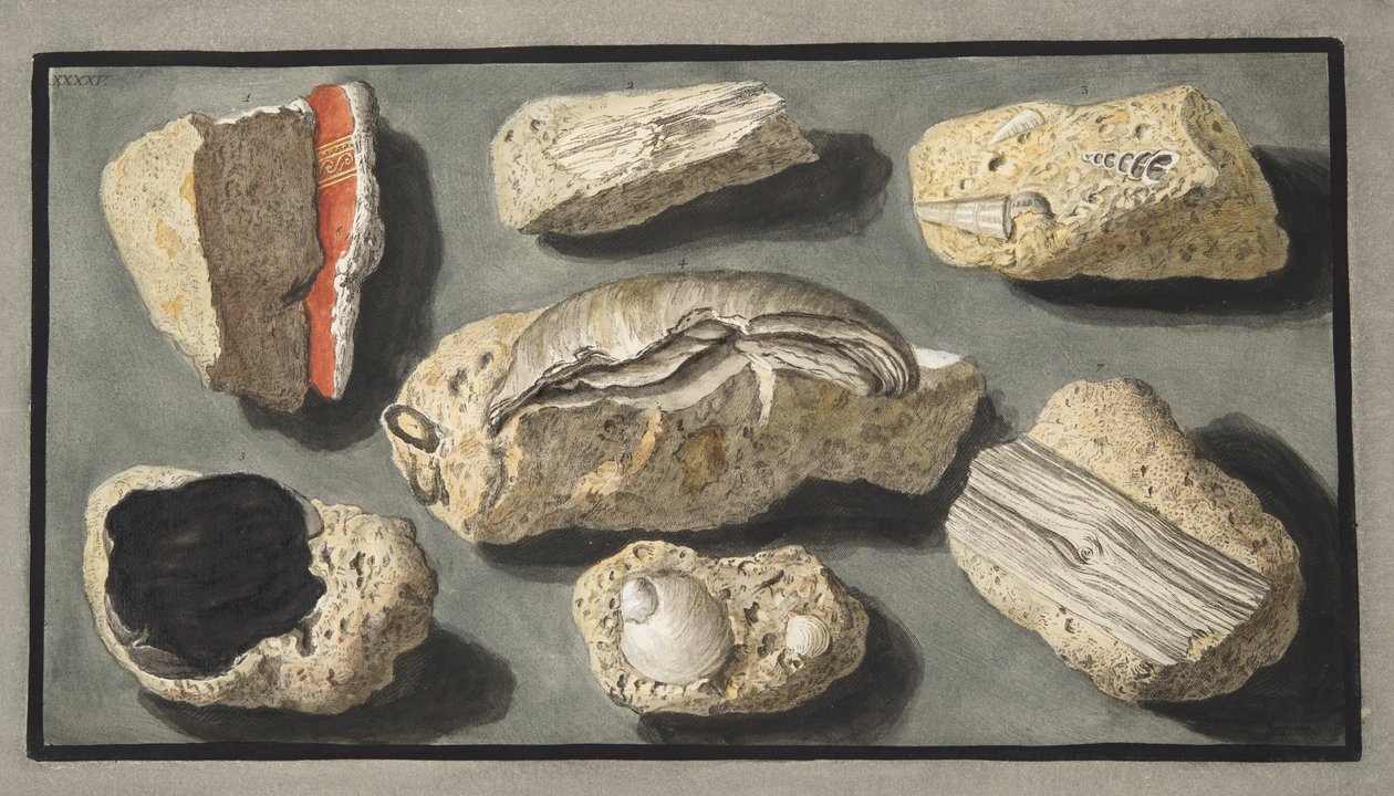 Specimens of Tufa found in and around Herculaneum, Plate XXXXV, from 