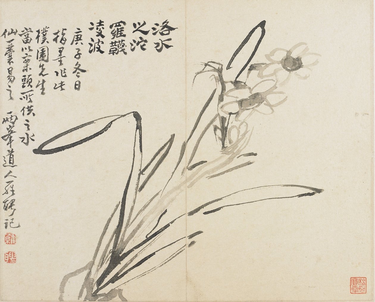 Landscapes, Flowers and Birds: Narcissus by Luo Ping