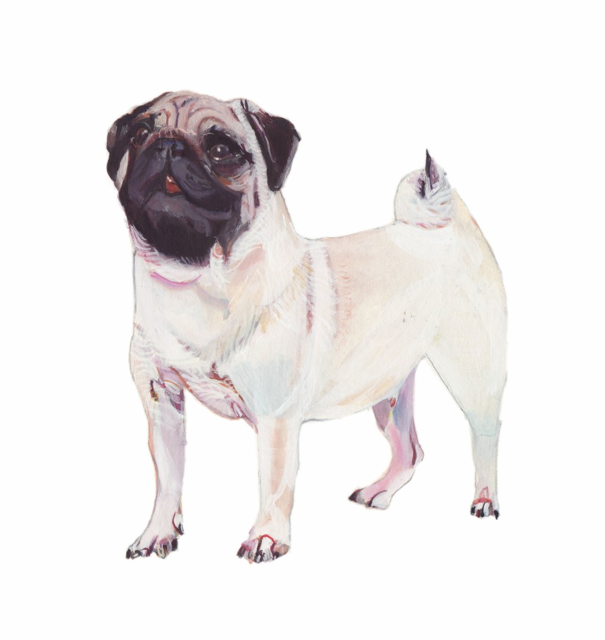 Pug, 2011 by Polly Horner