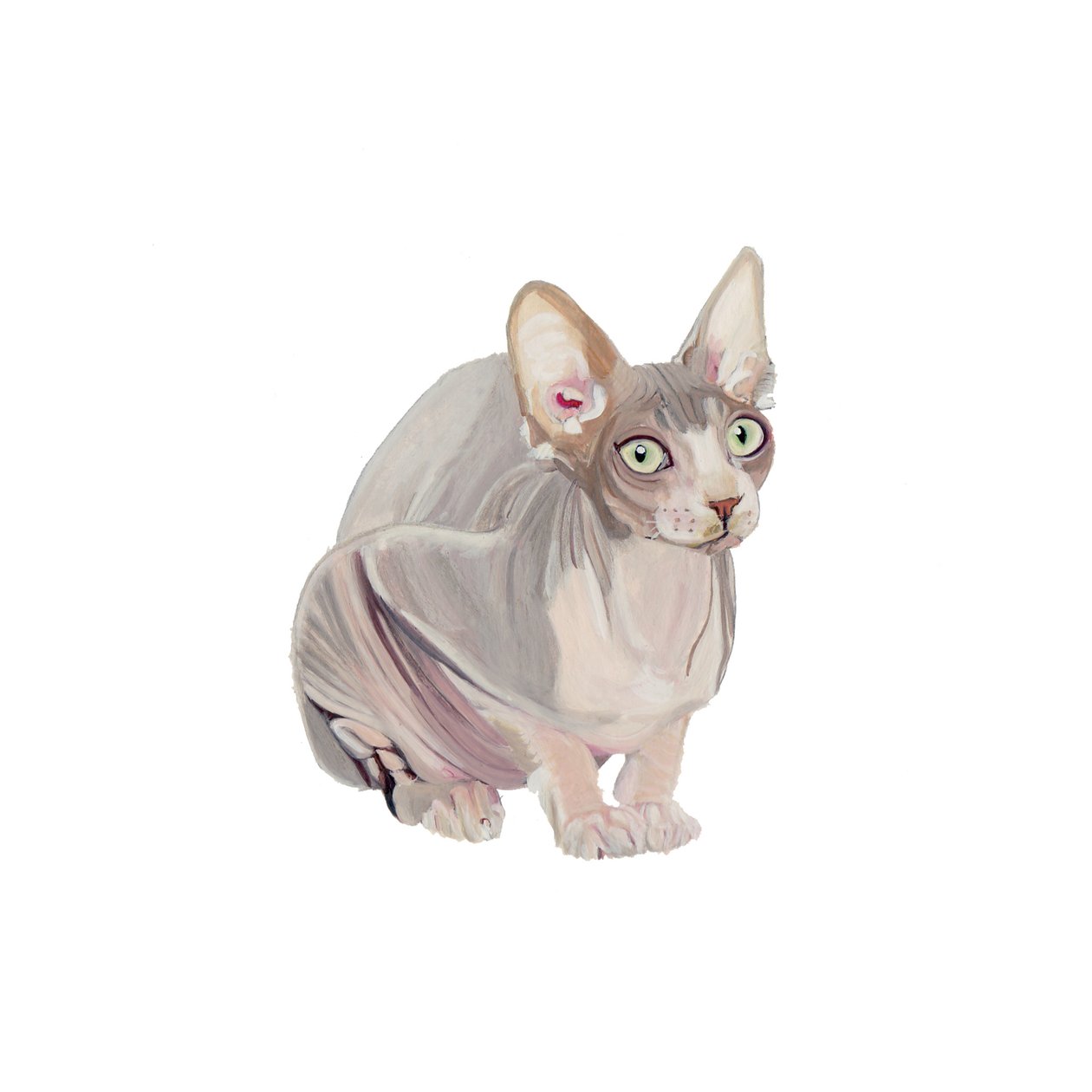 Sphynx, 2014 by Polly Horner