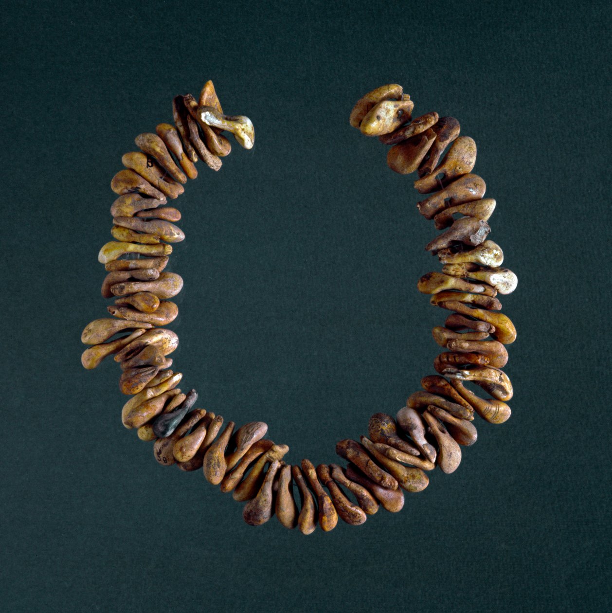 Prehistory Stone Age Necklace of Bones from the Cave of Polesine