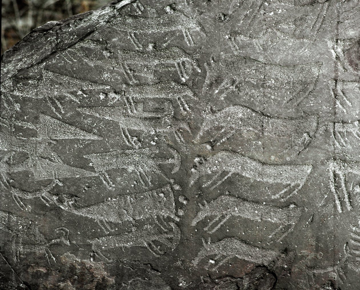 Prehistory, Rock Art: Grave Rock of Representations of Daggers and Oxen