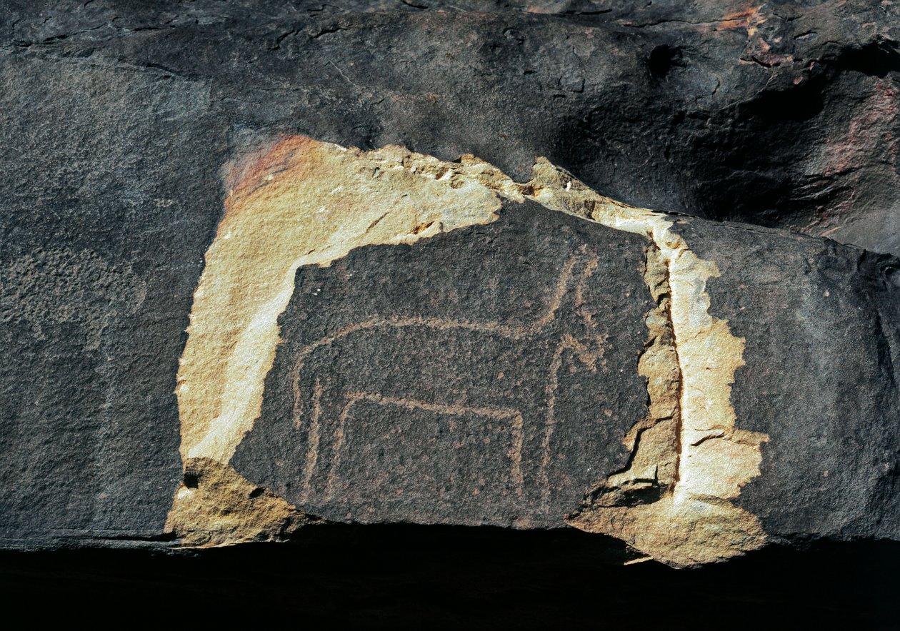 Prehistory, rock art: grave rock of the representation of an antelope ...