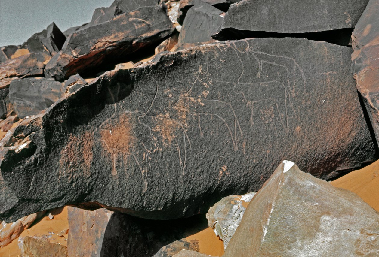 Prehistory, Rock Art: Grave Rock of the Representation of Cattle by Prehistoric Prehistoric