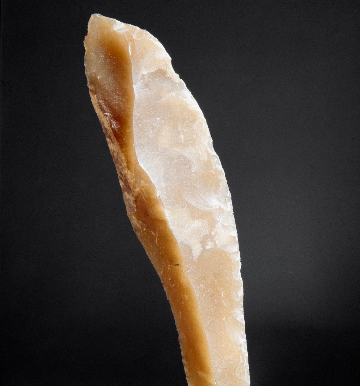 Prehistory: Tip of Flint from the Necropole of Arene Candide, Liguria ...