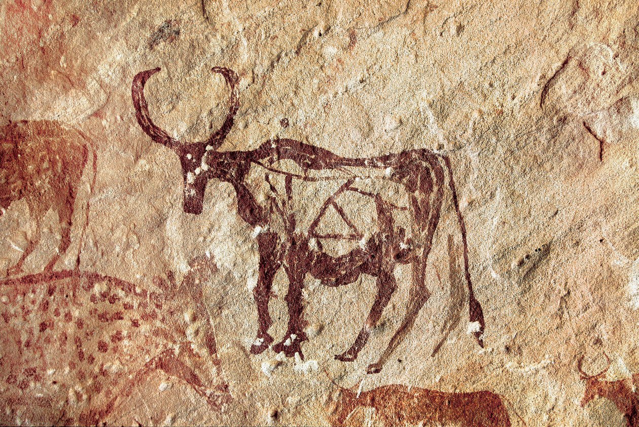 Chad Rock Art Cave Paintings Prehistoric Cave Paintings Prehistoric Art