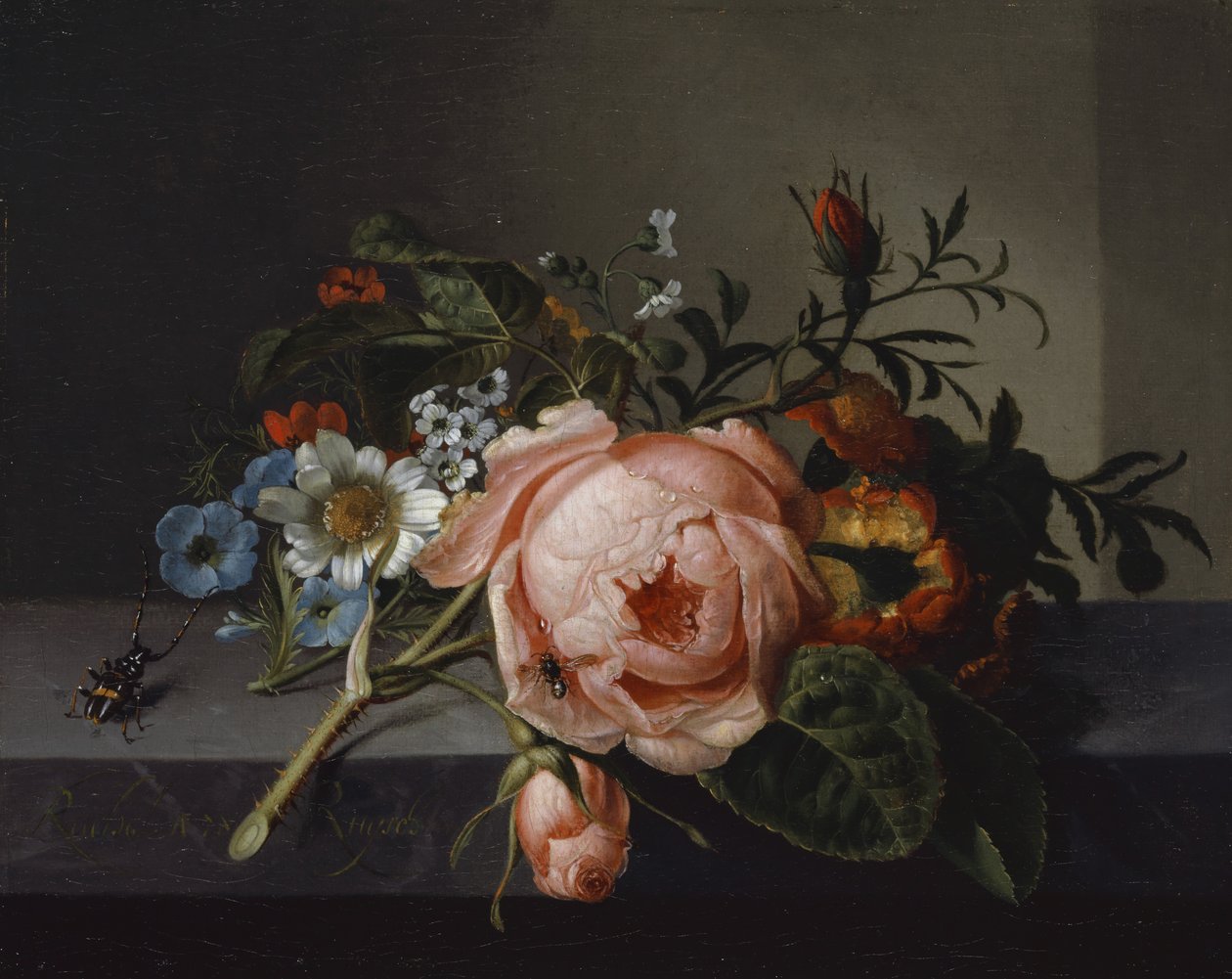 Still Life with Rose Branch, Beetle and Bee by Rachel Ruysch