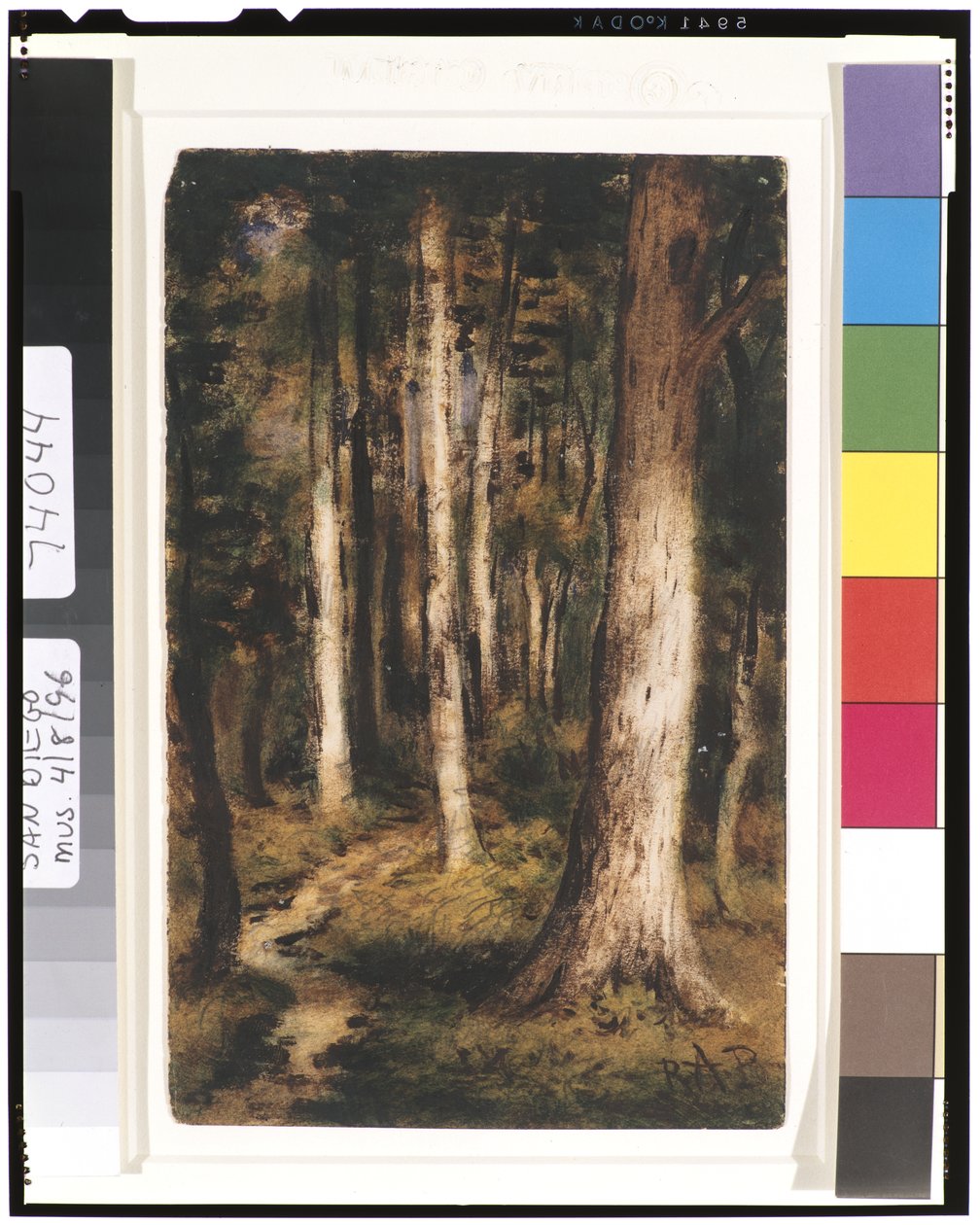 Forest Scene, 1901-15 by Ralph Albert Blakelock