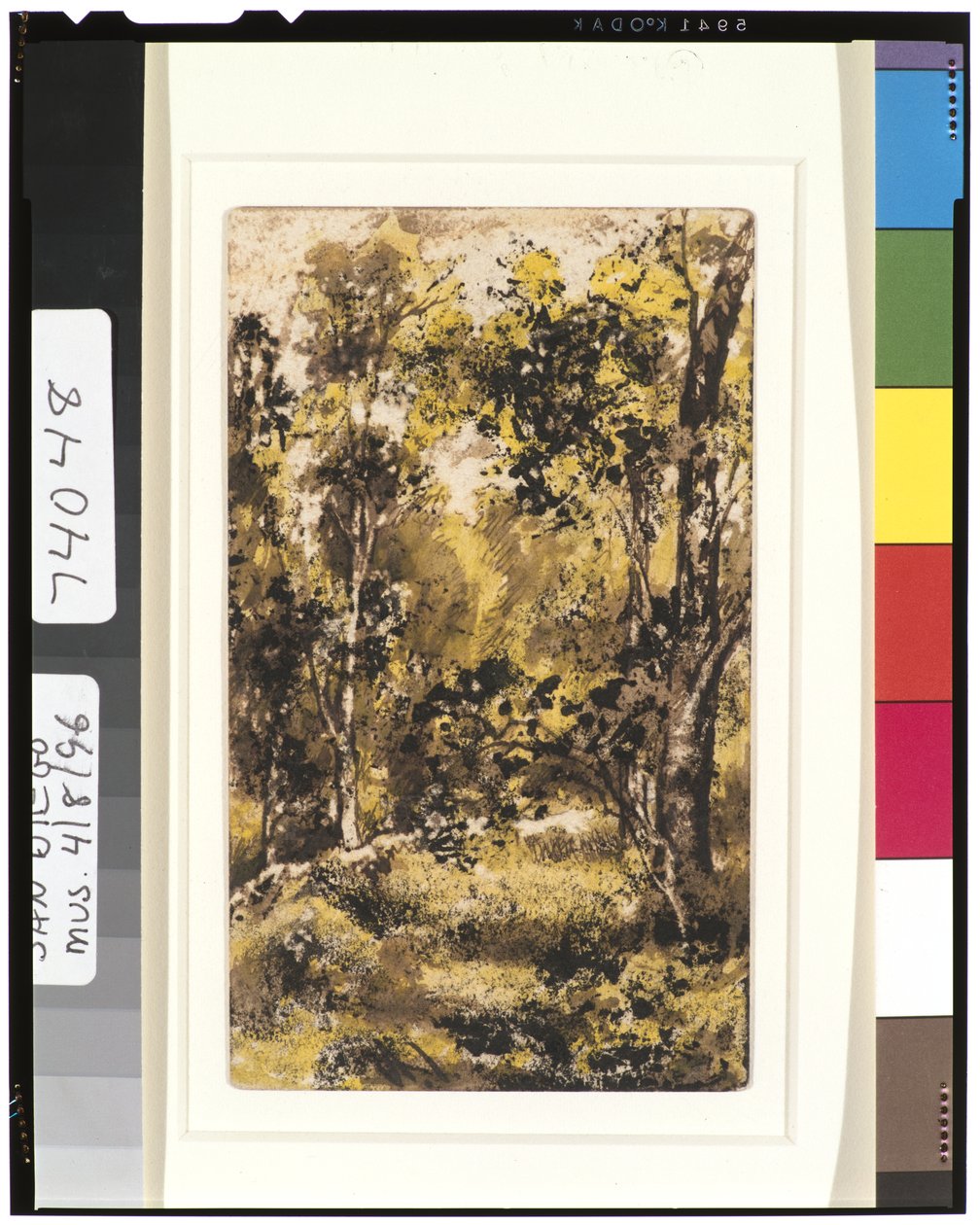 Forest Scene by Ralph Albert Blakelock: Buy fine art print