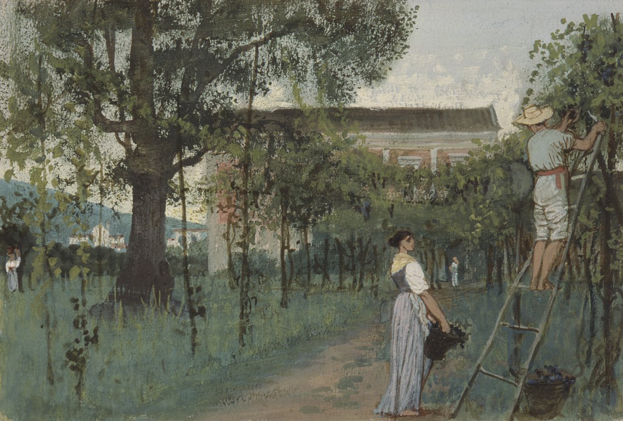 Grape Picking by Randolph Caldecott