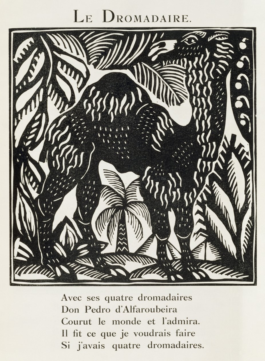The Dromedary, Illustration from 