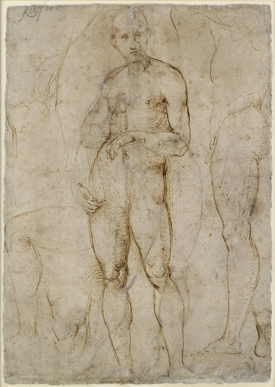Verso: Nude Study for a St Paul by Raffaello Sanzio Raphael