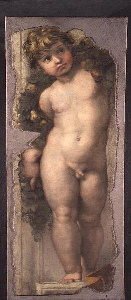 Putto with Festoon by Raphael
