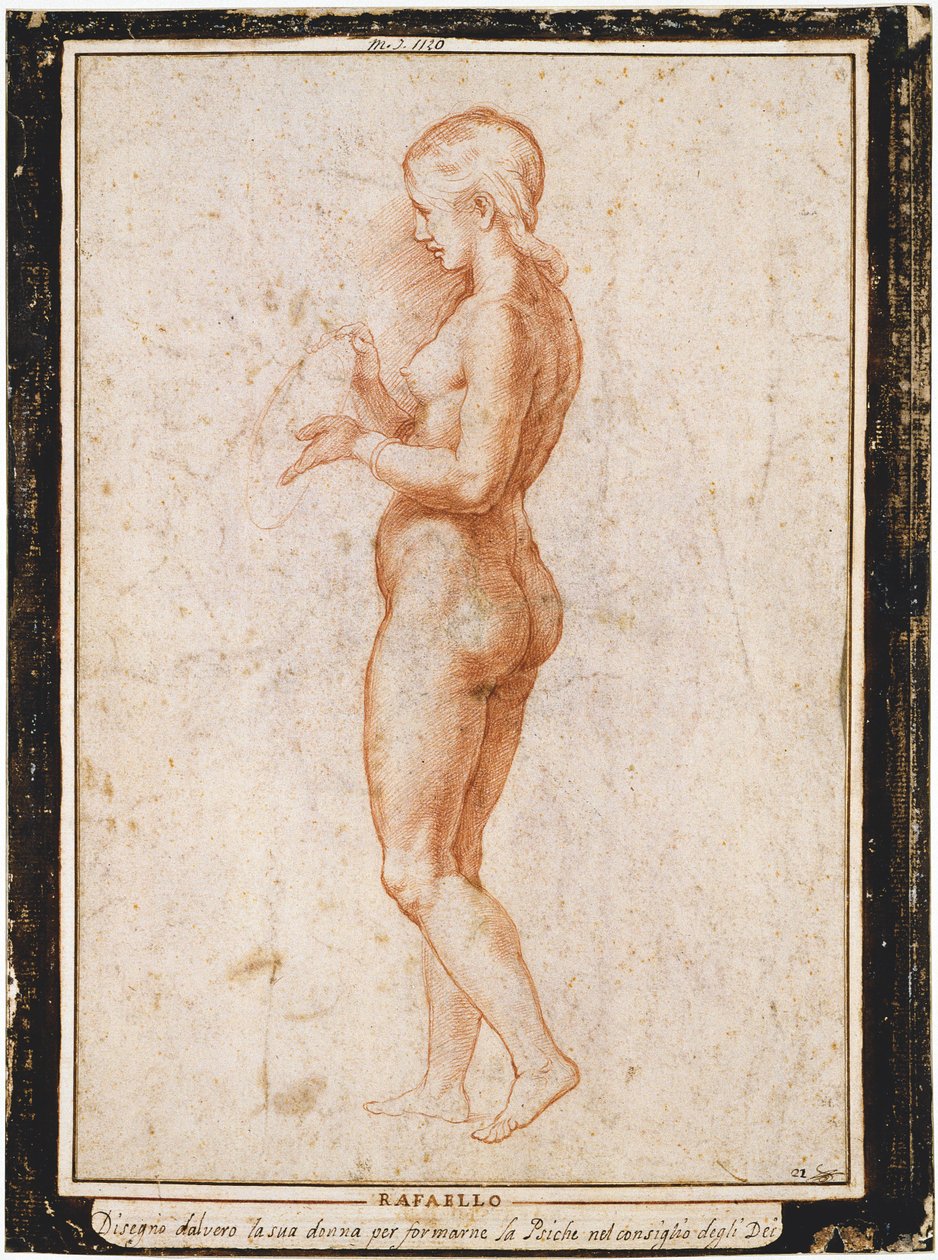 Young Female Figure in Profile by Raphael