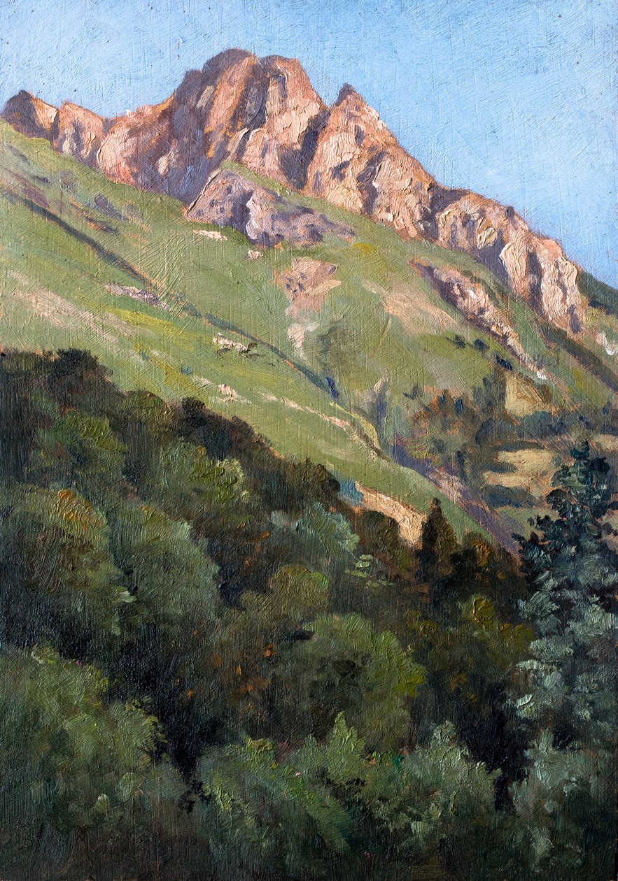 Landscape with mountain by Raymond Bonnefon