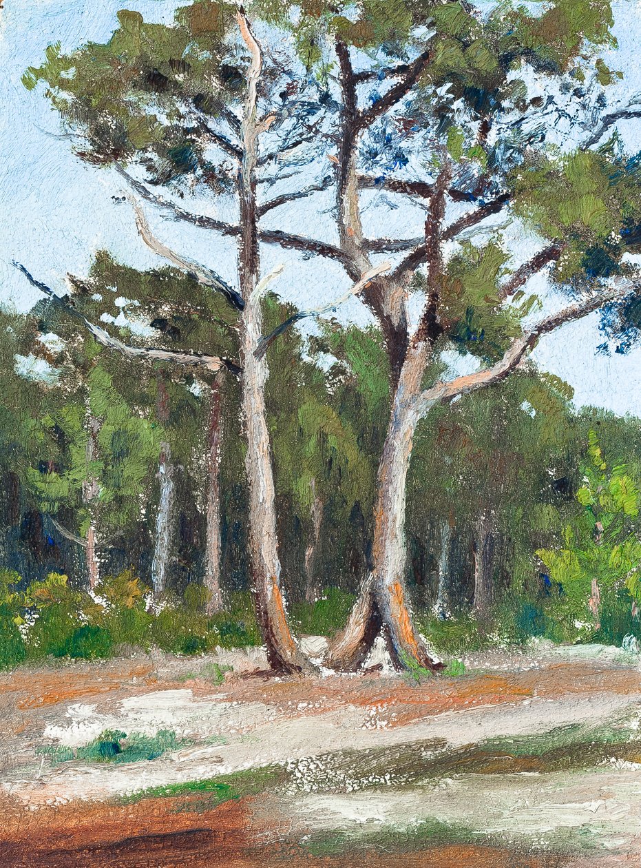 Pines, Bassin d