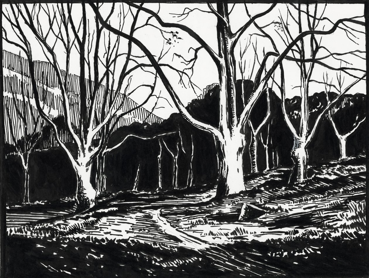 Forest in Winter by Raymond Bonnefon