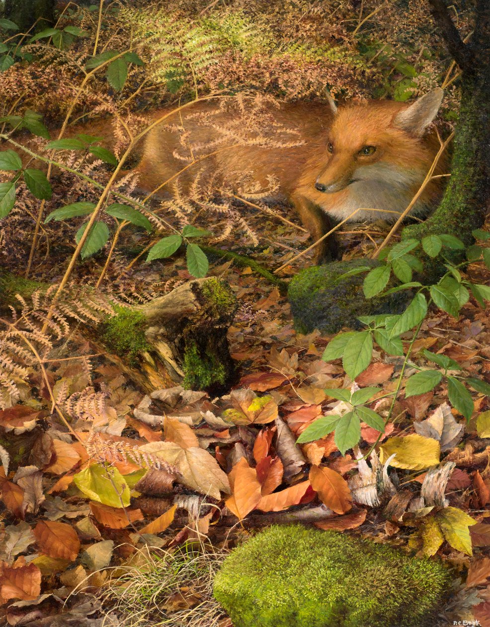 Autumn: a fox resting amongst the fallen Leaves, 2005 by Raymond Booth