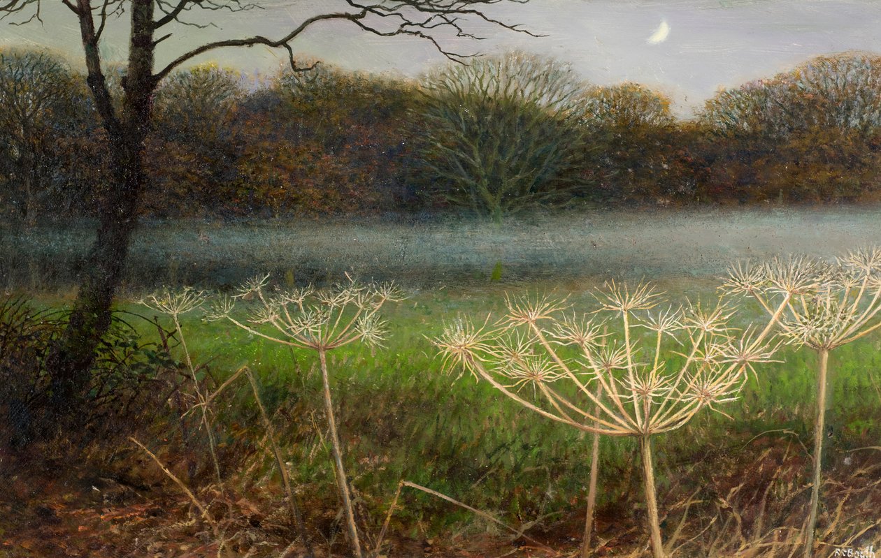 December at dusk: mist over the fields by Raymond Booth