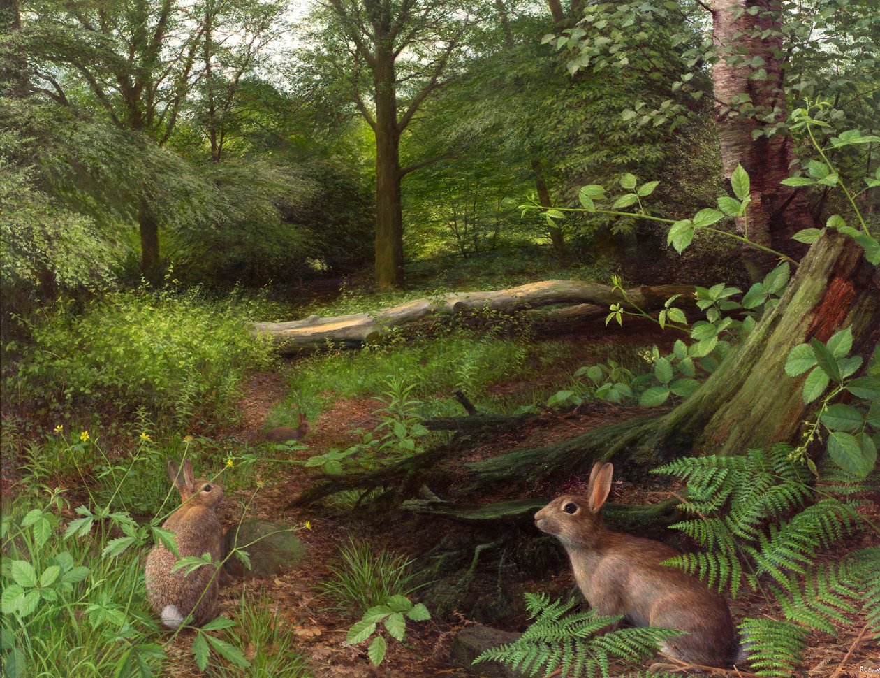 In the woods - a midsummer evening (13) by Raymond Booth