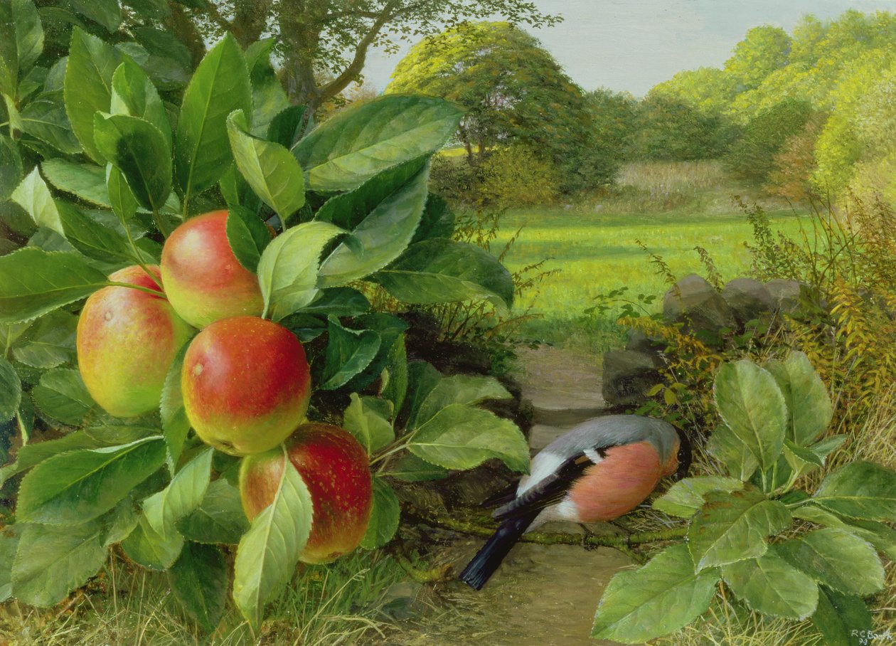 katja-apple-and-bullfinch-by-raymond-booth-fine-art-print
