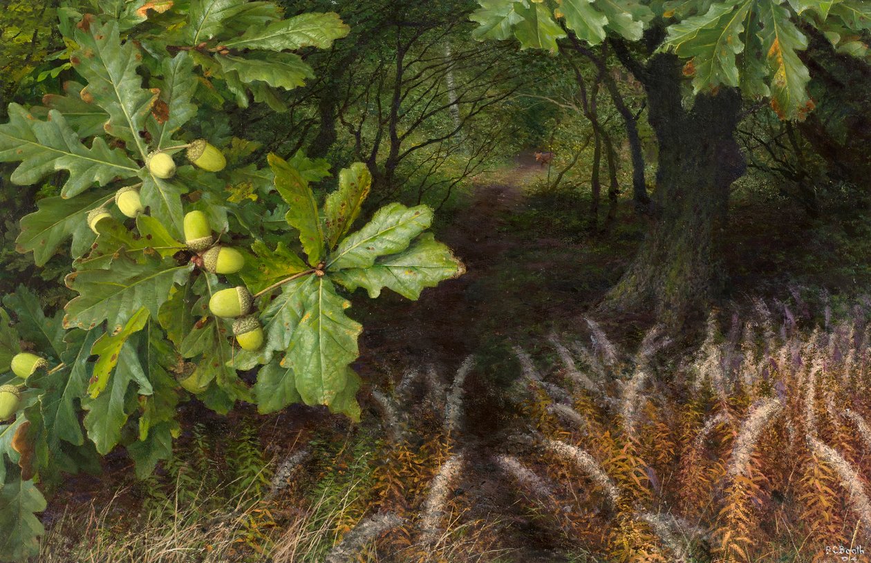 The way into the woods by Raymond Booth