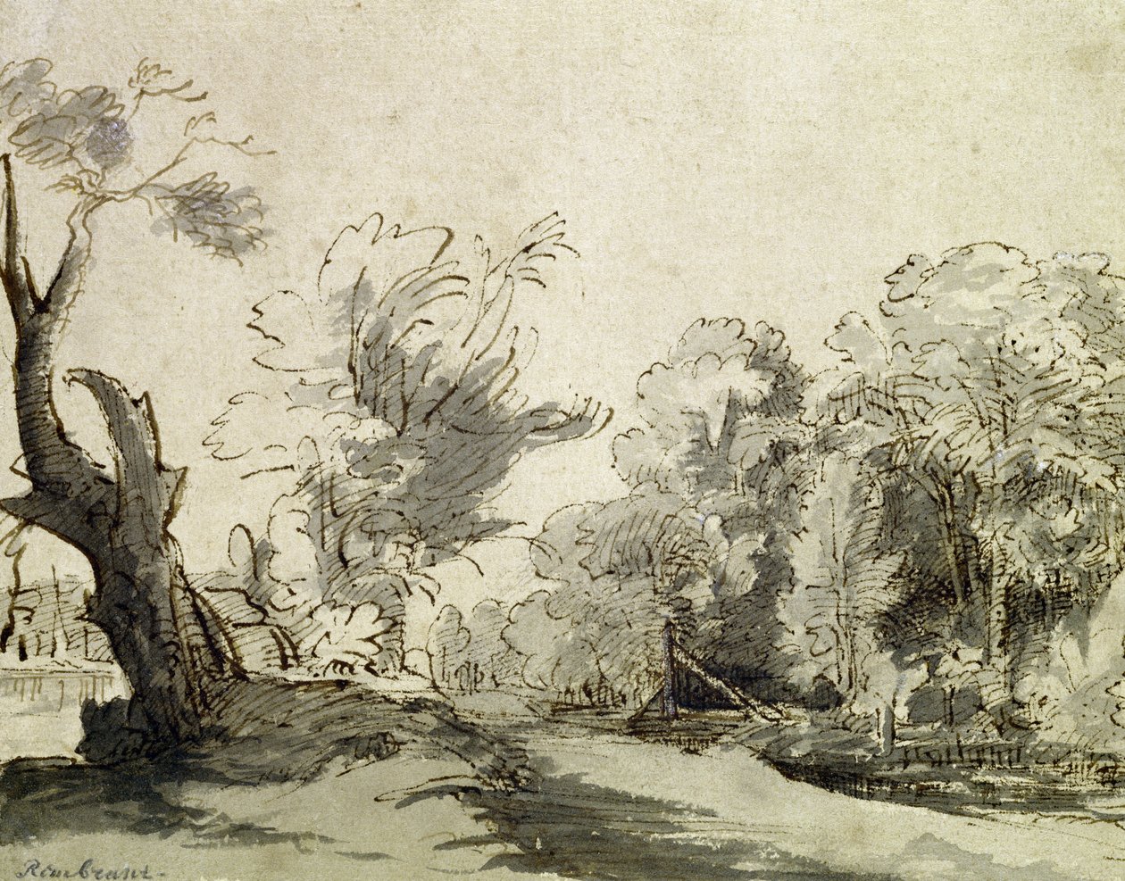 Landscape with a path, an almost dead tree on the left and a footbridge ...